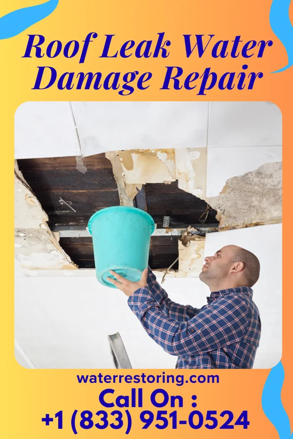 Roof Leak Water Damage Repair in Ayr, ND
